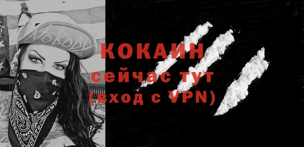 твердый Новозыбков