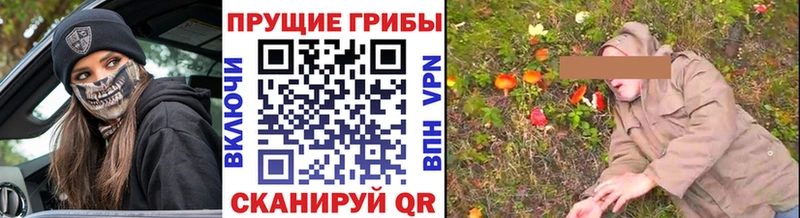 Псилоцибиновые грибы мицелий  где найти наркотики  kraken   Касли 